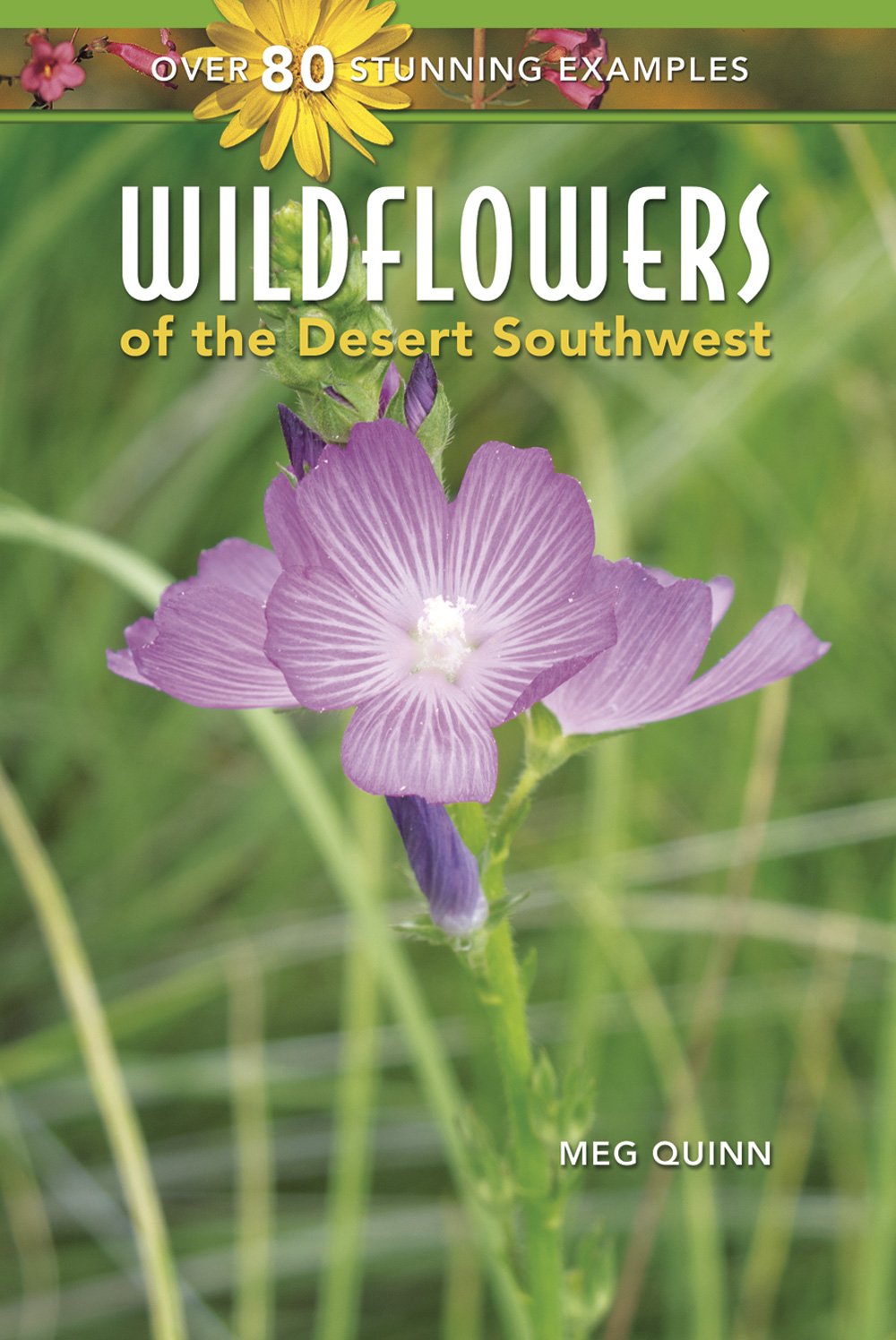 Wildflowers of the Desert Southwest,Used