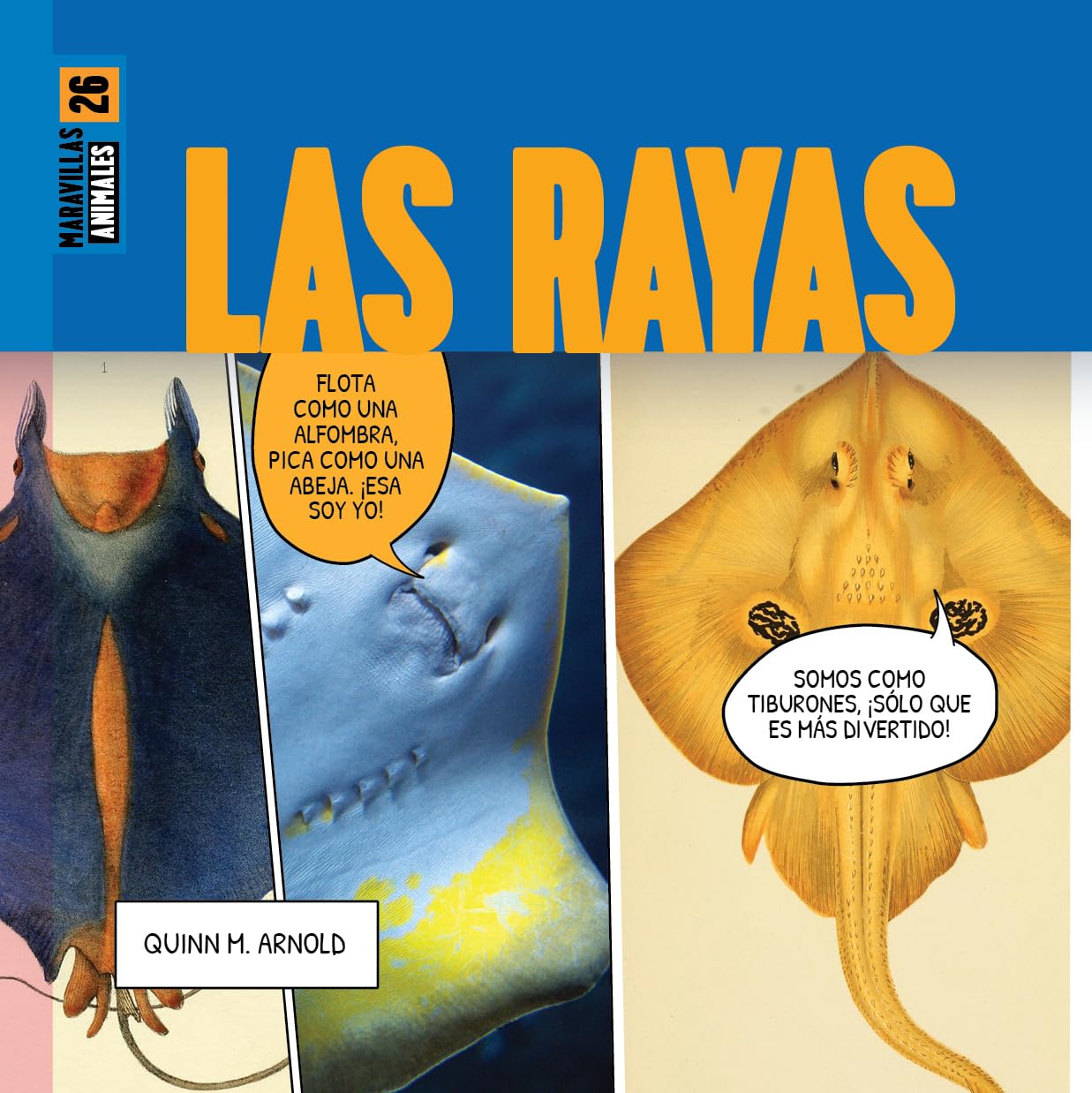 LAS RAYAS