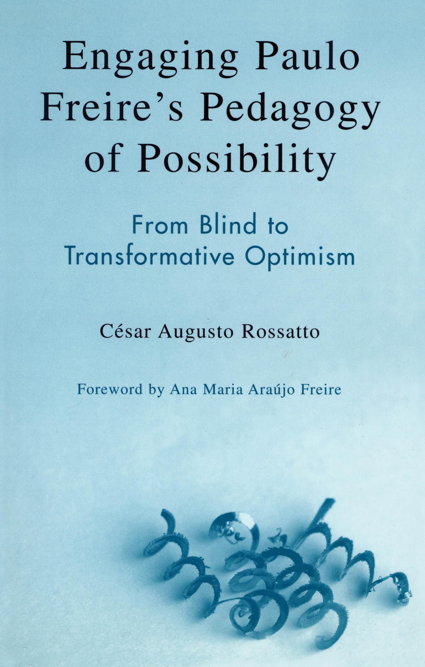 Engaging Paulo Freire's Pedagogy of Possibility: From Blind to Transformative Optimism,Used
