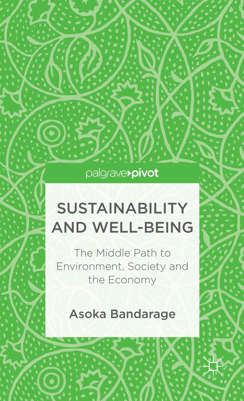 Sustainability and WellBeing: The Middle Path to Environment, Society and the Economy (Palgrave Pivot),Used