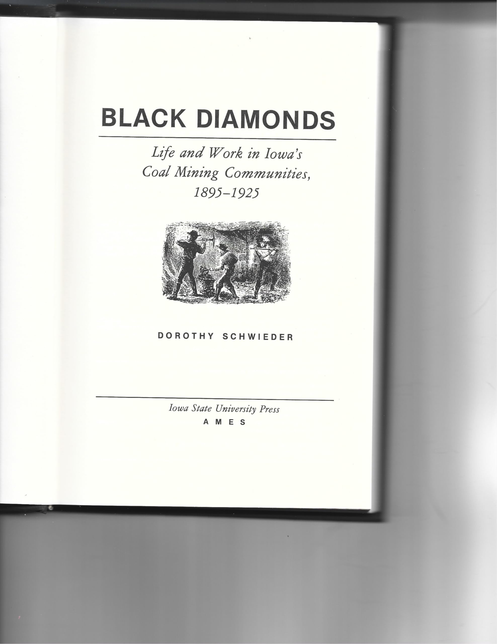 Black Diamonds: Life and Work in Iowa's Coal Mining Communities, 18951925,Used