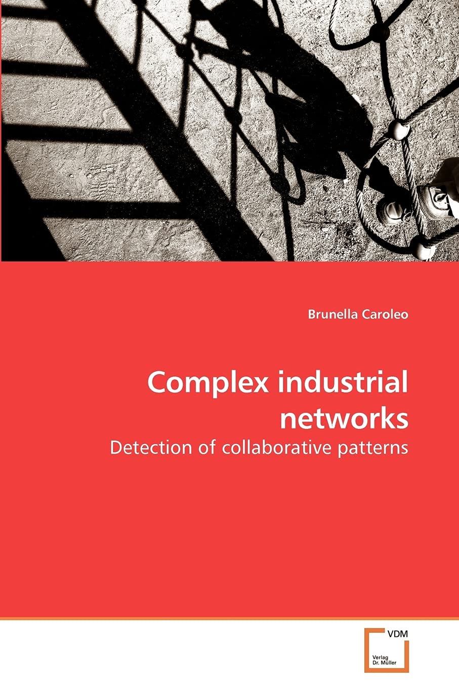 Complex industrial networks: Detection of collaborative patterns,Used