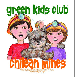 Chilean Mines,Used