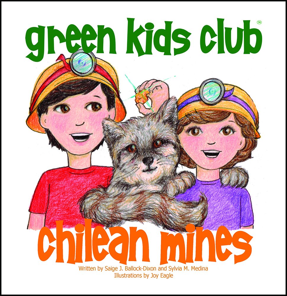 Chilean Mines,Used
