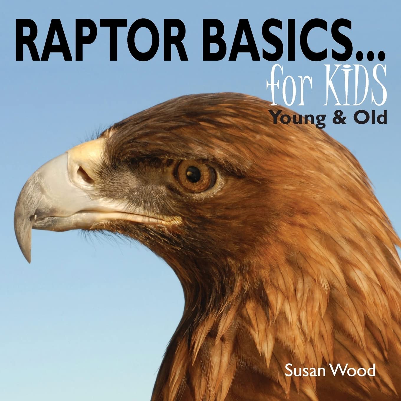 Raptor Basics for Kids,Used