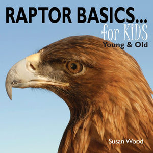 Raptor Basics for Kids,Used