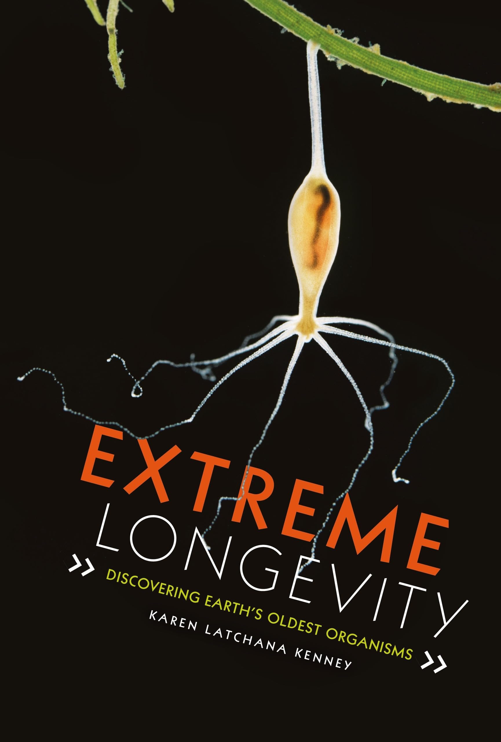 Extreme Longevity: Discovering Earth'S Oldest Organisms