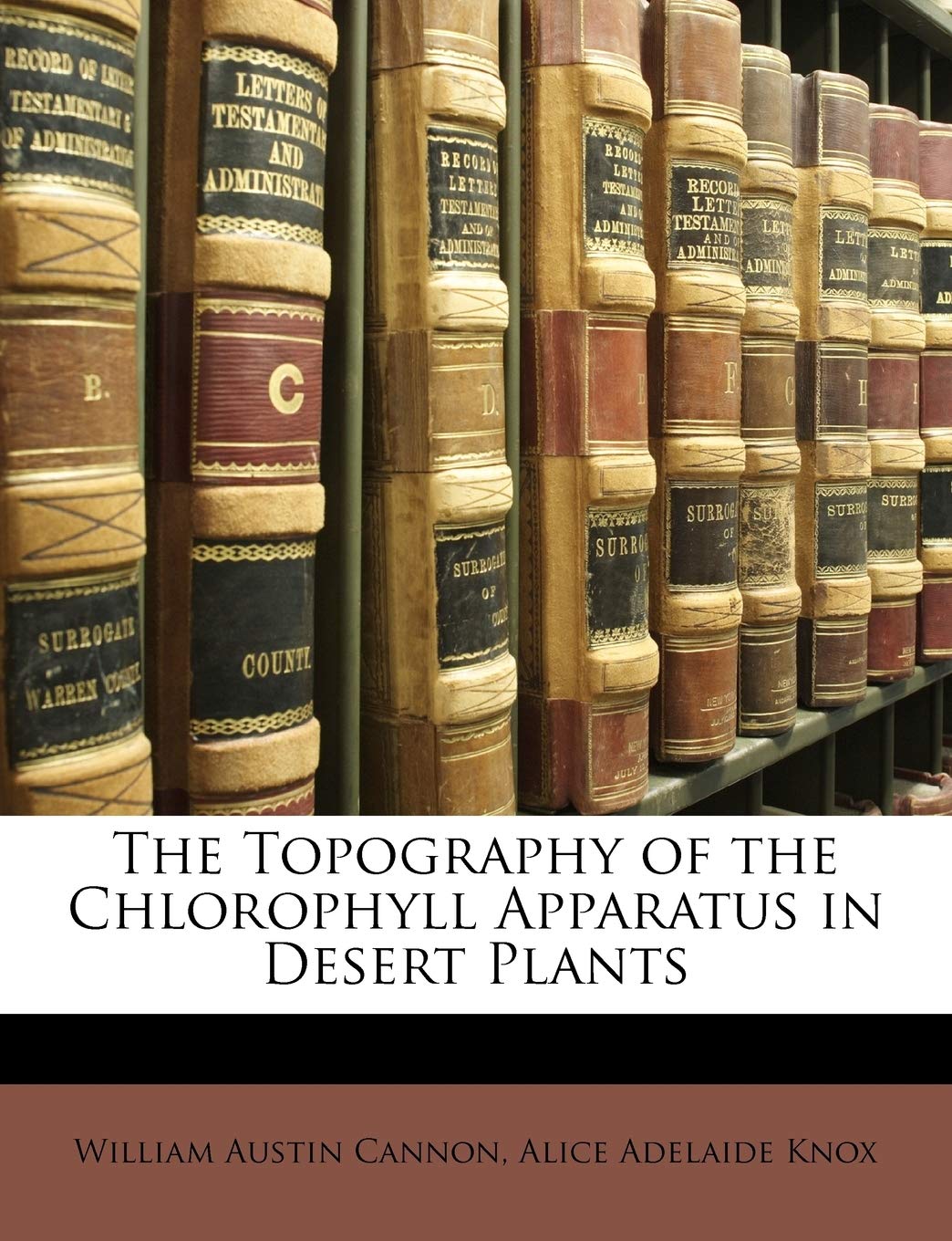The Topography of the Chlorophyll Apparatus in Desert Plants,Used