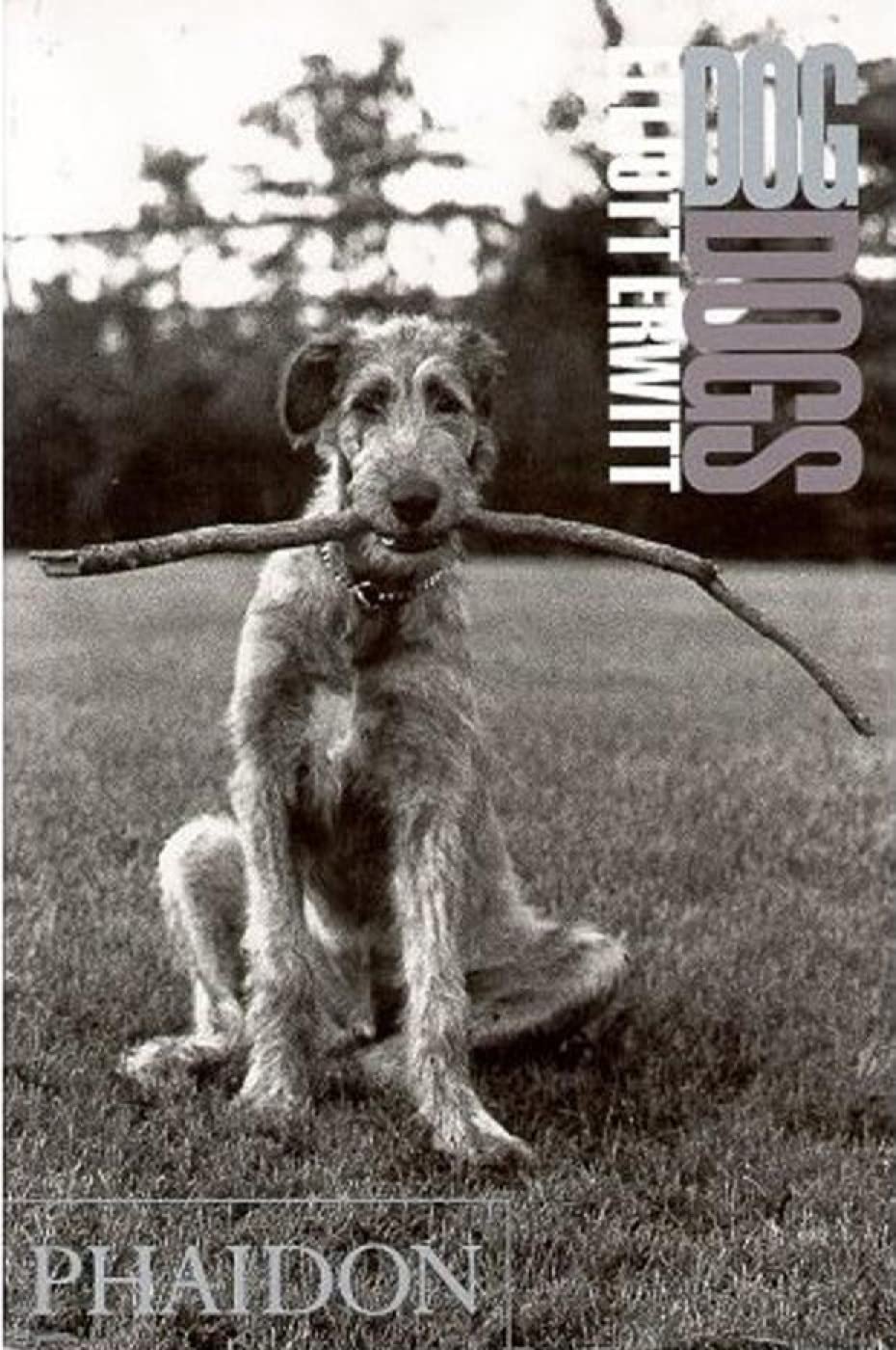 Dog Dogs,New