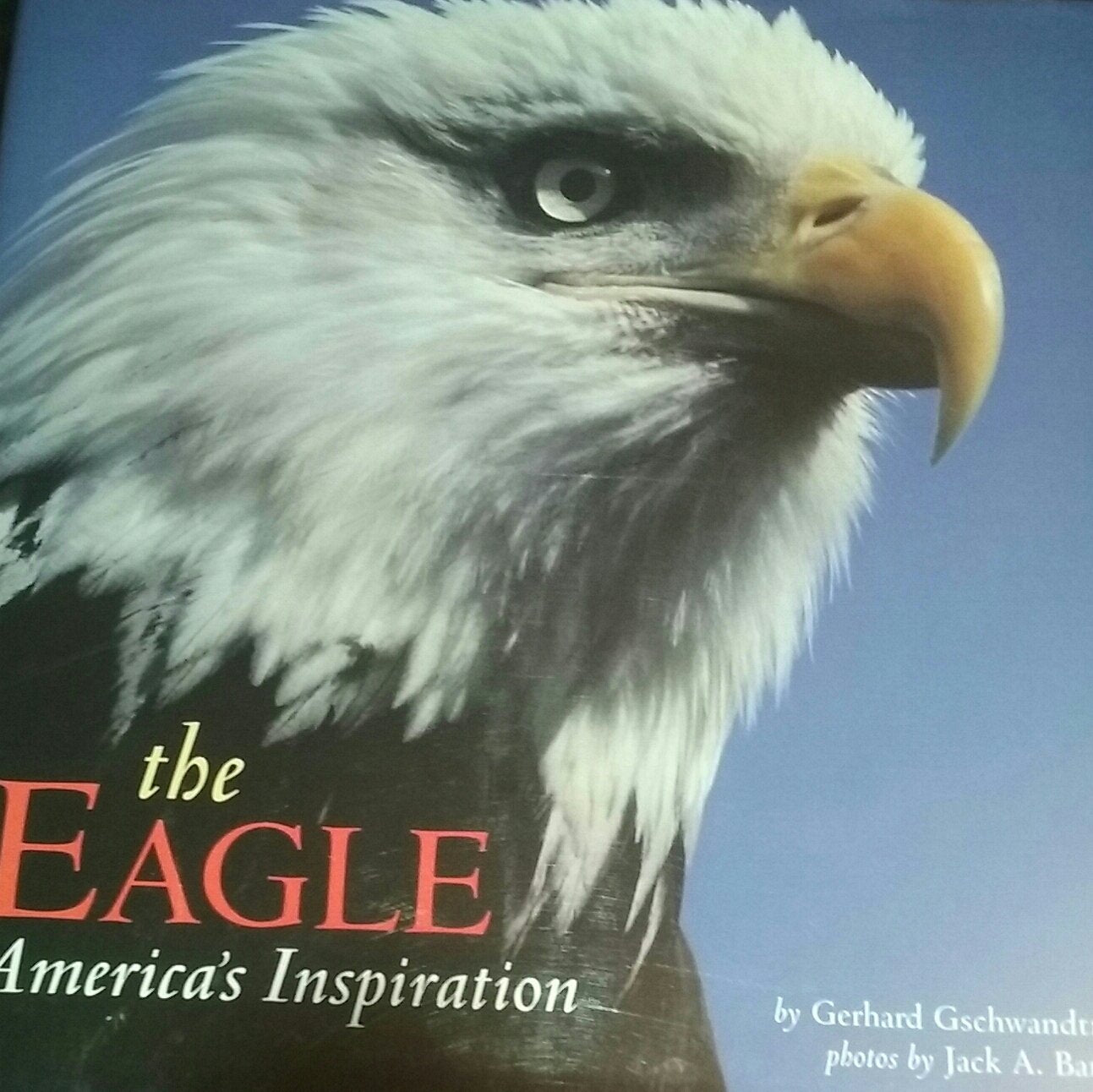 The Eagle: Americas Inspiration-used