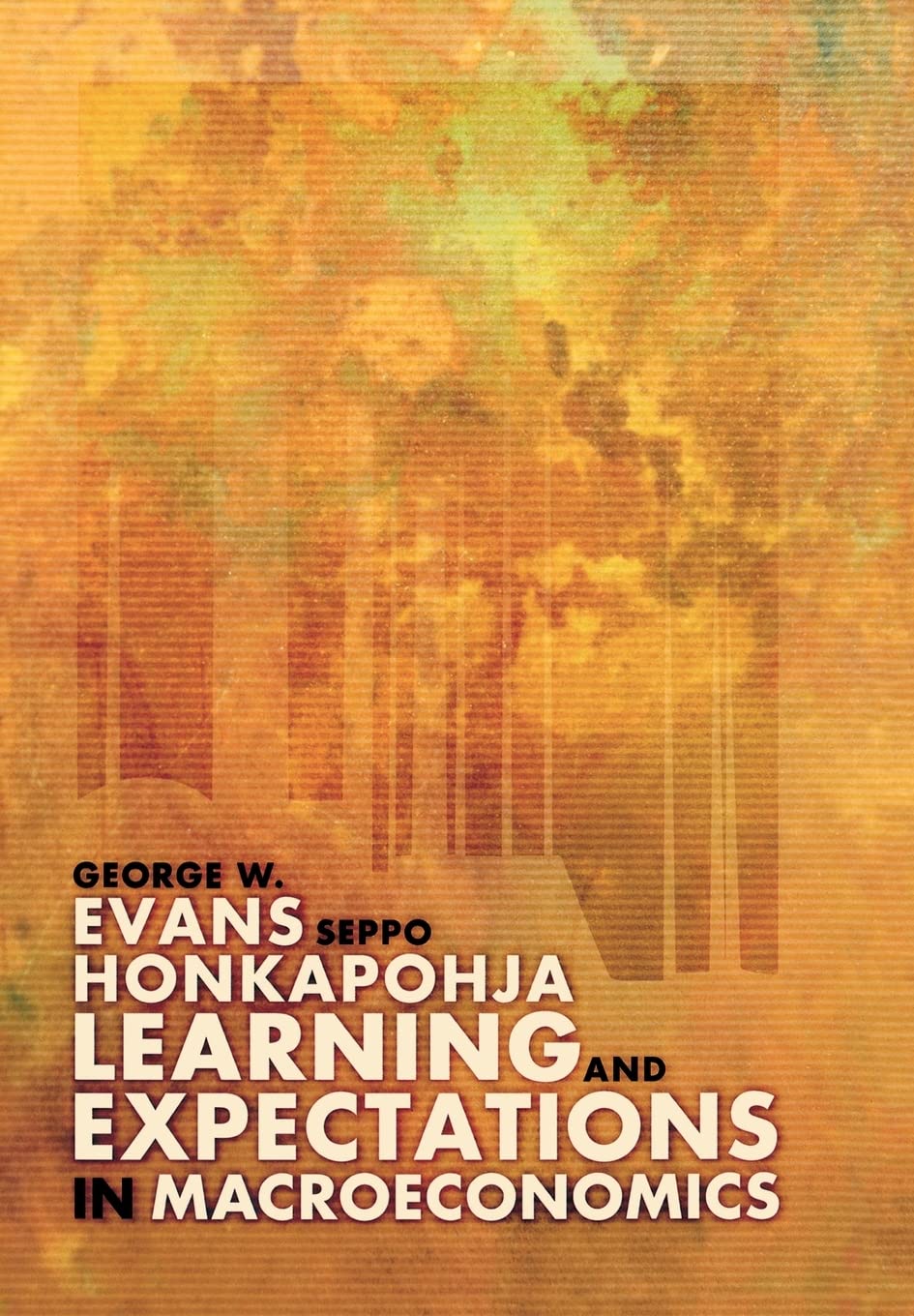 Learning And Expectations In Macroeconomics (Frontiers Of Economic Research)