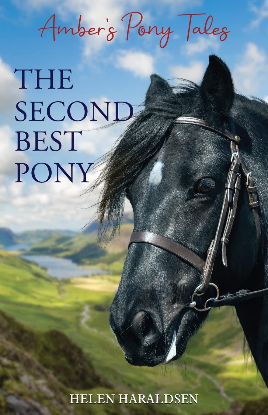 The Second Best Pony (Amber's Pony Tales),Used