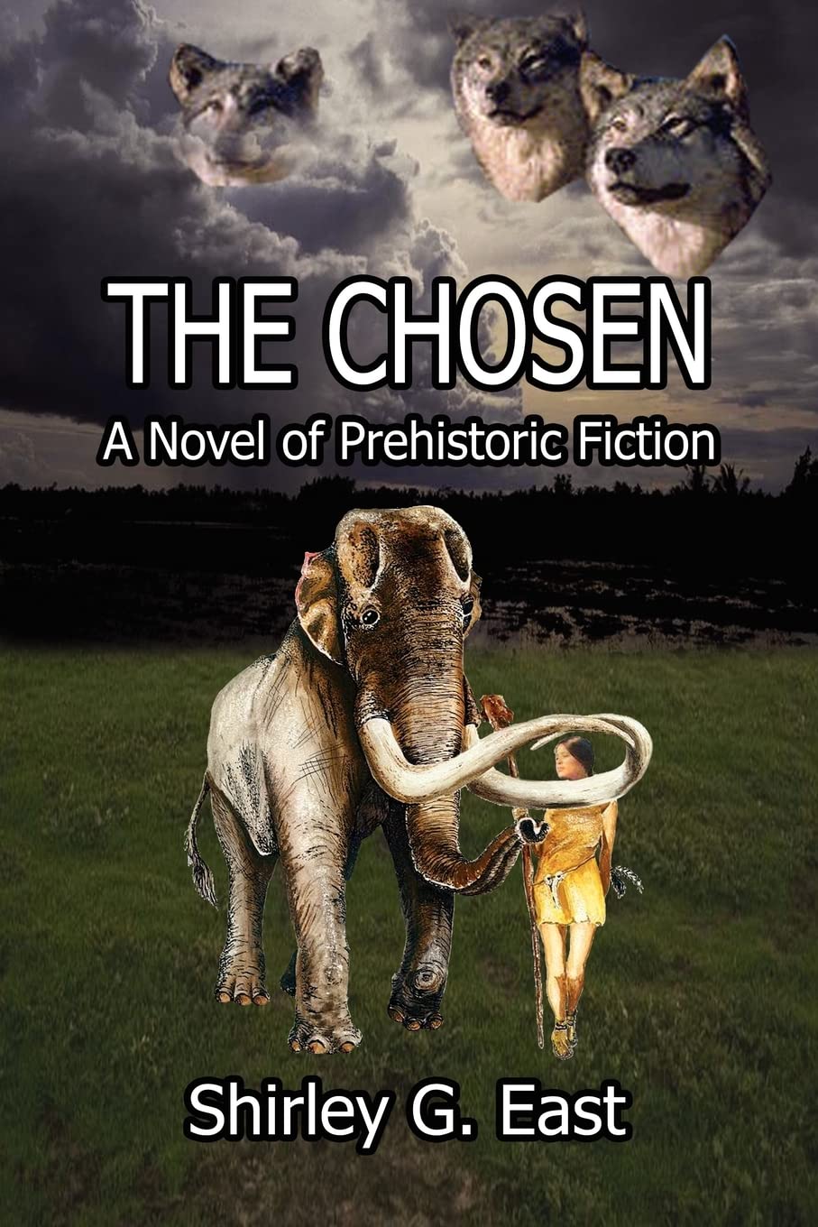 The Chosen: A Novel of Prehistoric Fiction,Used