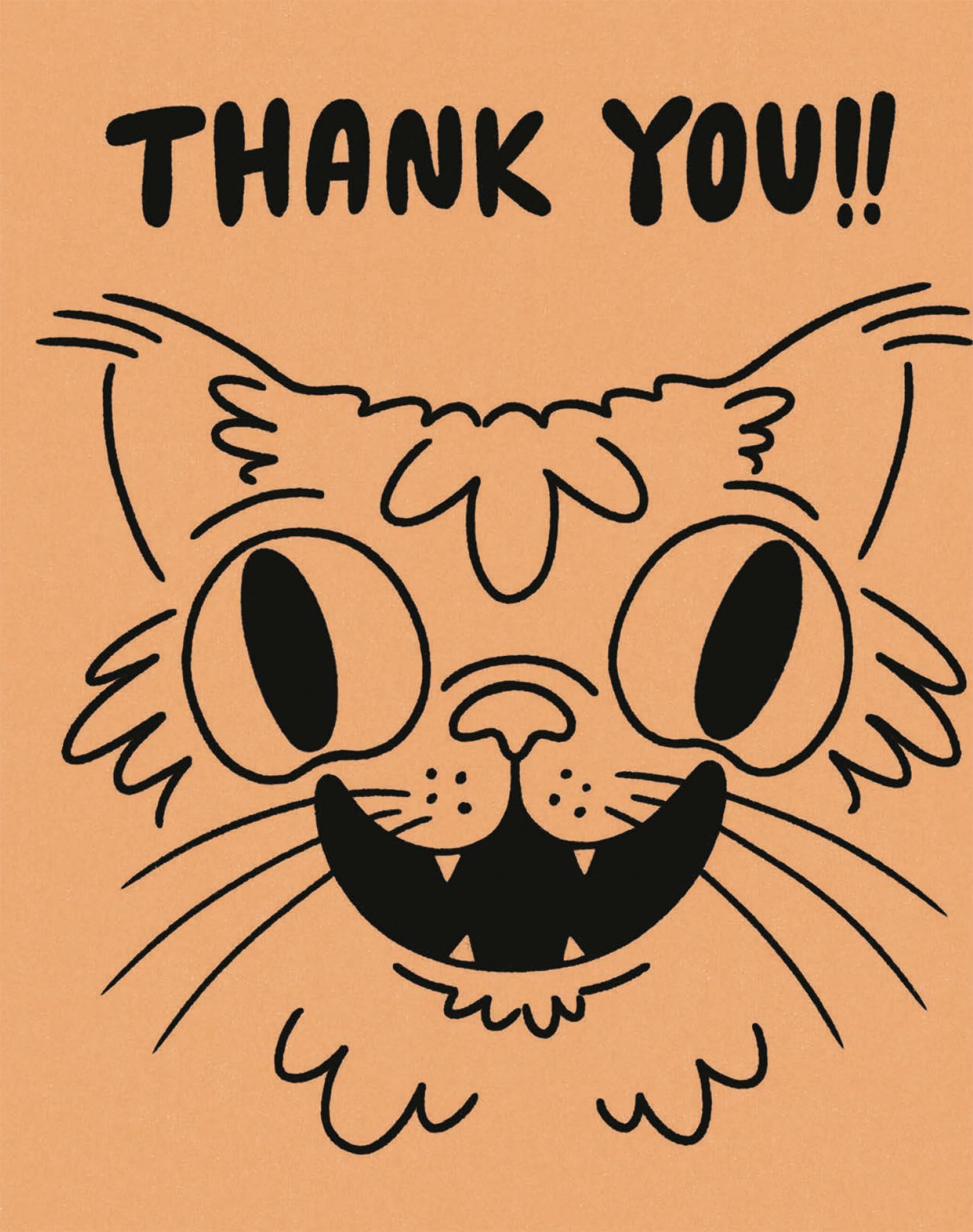 Humor Us Greeting Cards: Thank You  You Really Did Not Have To Do That (Pack Of 6)