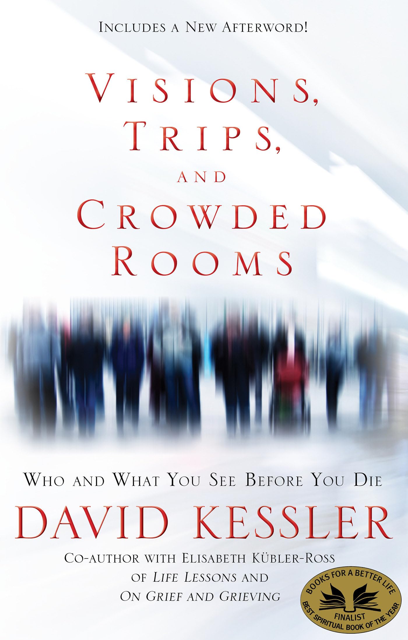 Visions, Trips, and Crowded Rooms: Who and What You See Before You Die,Used