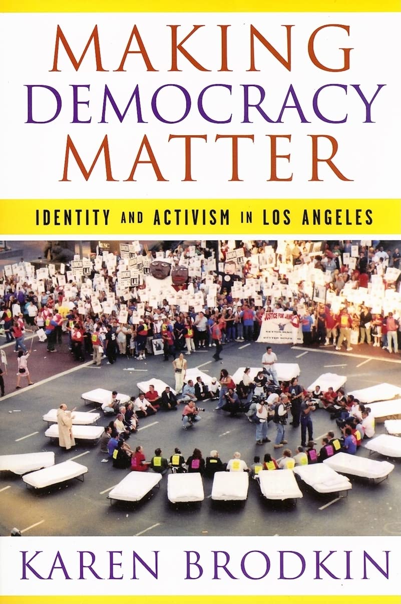 Making Democracy Matter: Identity And Activism In Los Angeles,New