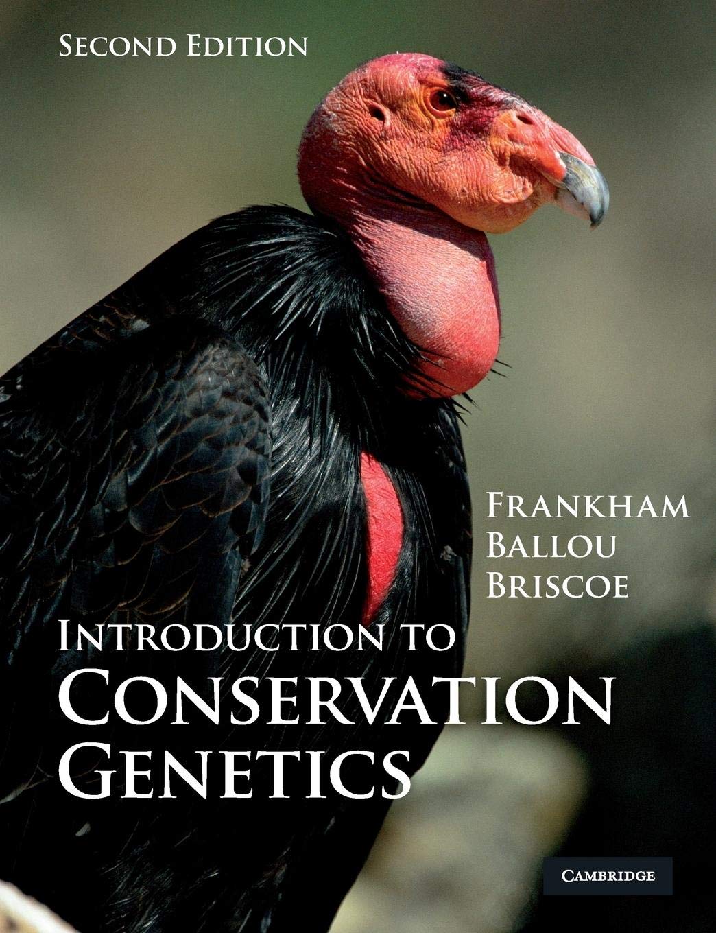 Introduction to Conservation Genetics,New
