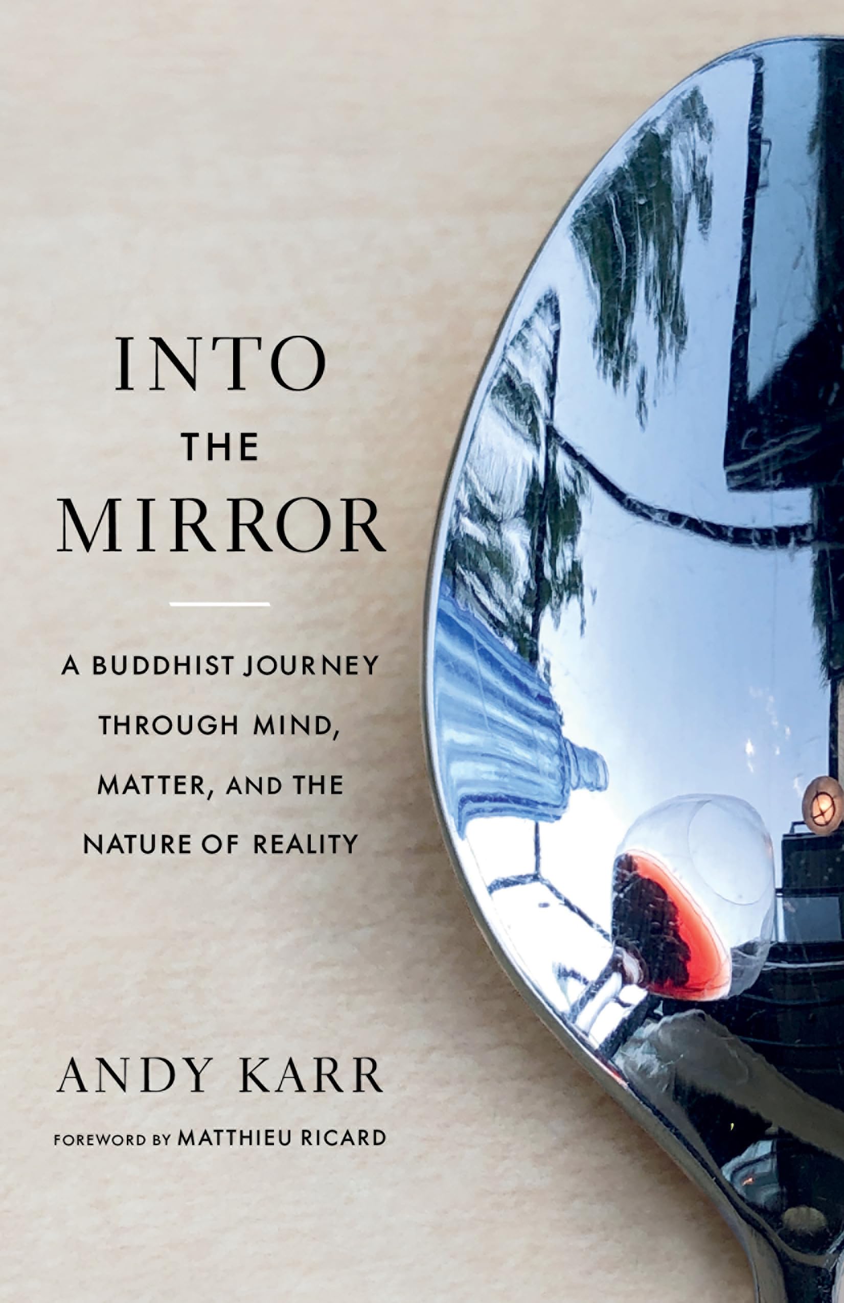 Into The Mirror: A Buddhist Journey Through Mind, Matter, And The Nature Of Reality,Used