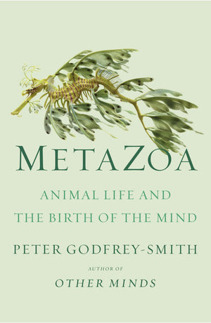 Metazoa: Animal Life And The Birth Of The Mind