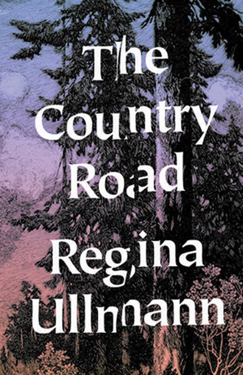 The Country Road: Stories,Used
