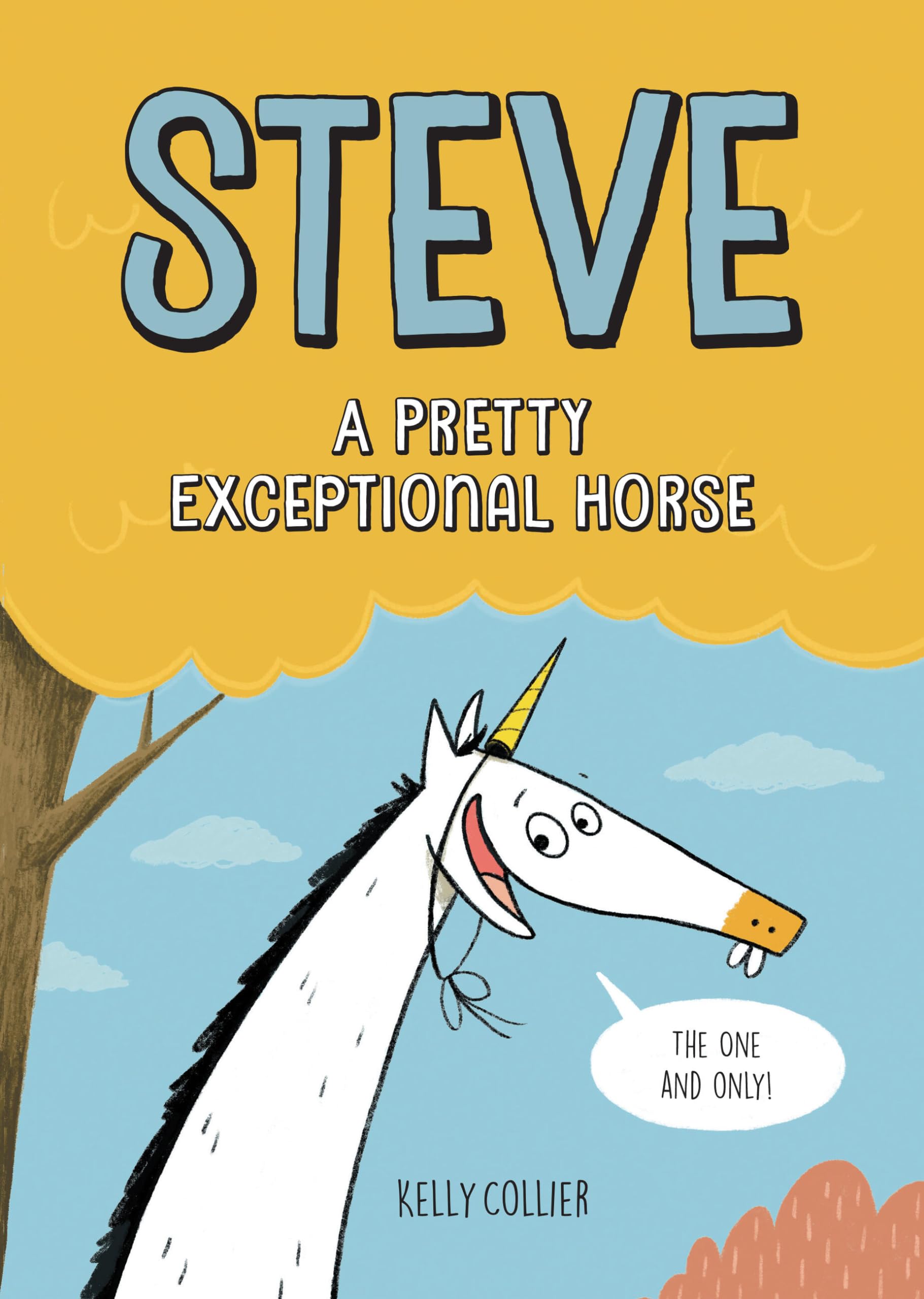 Steve, A Pretty Exceptional Horse (Steve the Horse, 1)
