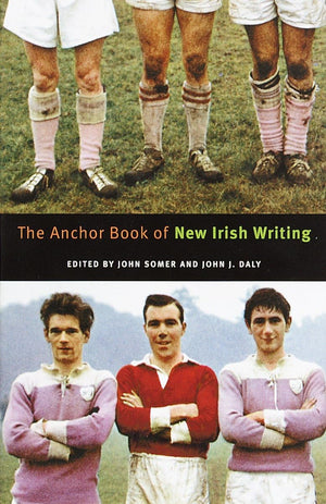 The Anchor Book Of New Irish Writing,Used