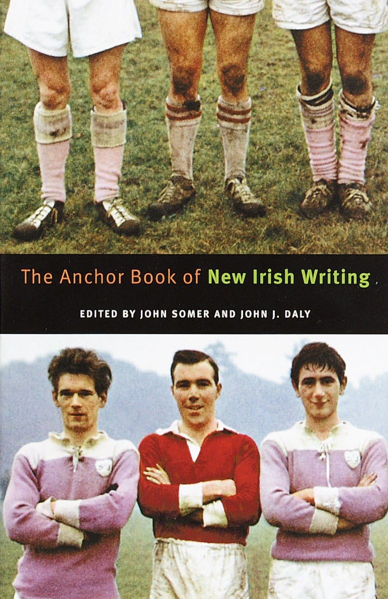 The Anchor Book Of New Irish Writing,Used