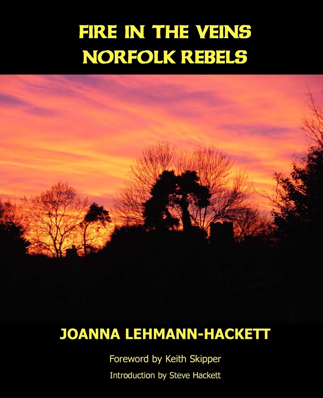 Fire in the Veins: Norfolk Rebels,Used