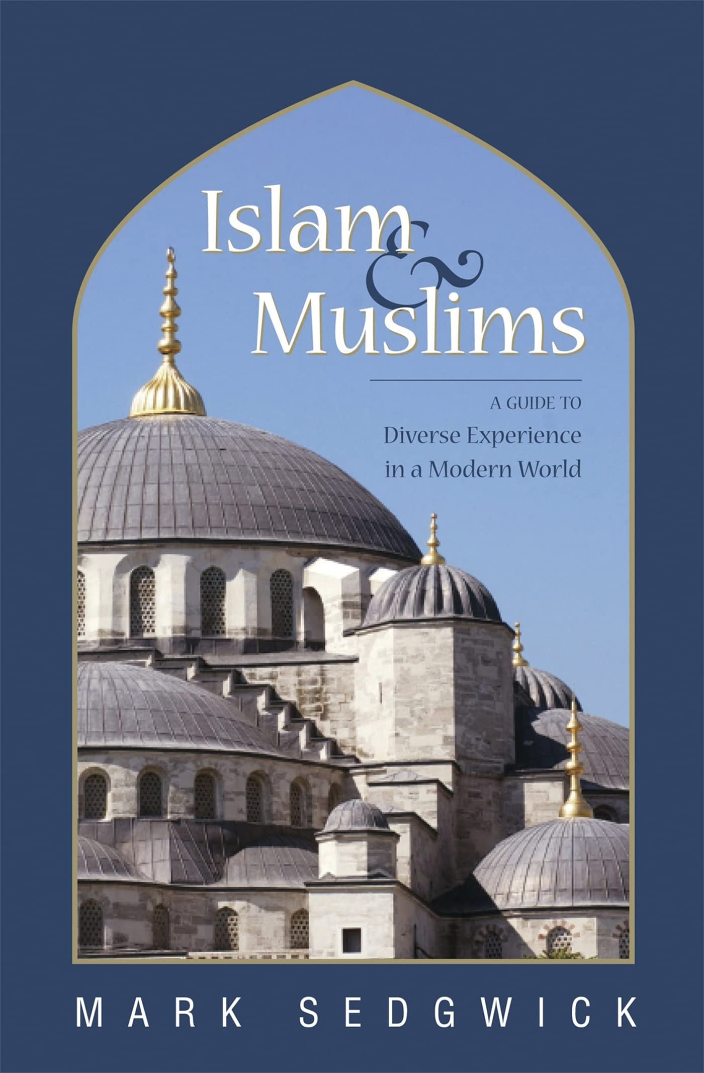 Islam & Muslims: A Guide to Diverse Experience in a Modern World,Used