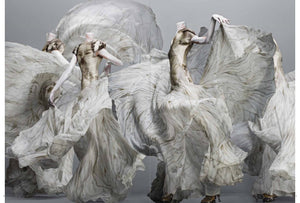 Alexander Mcqueen: Savage Beauty-used