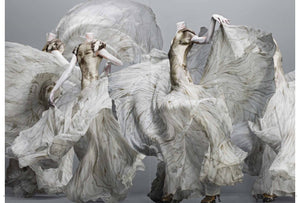 Alexander Mcqueen: Savage Beauty,New