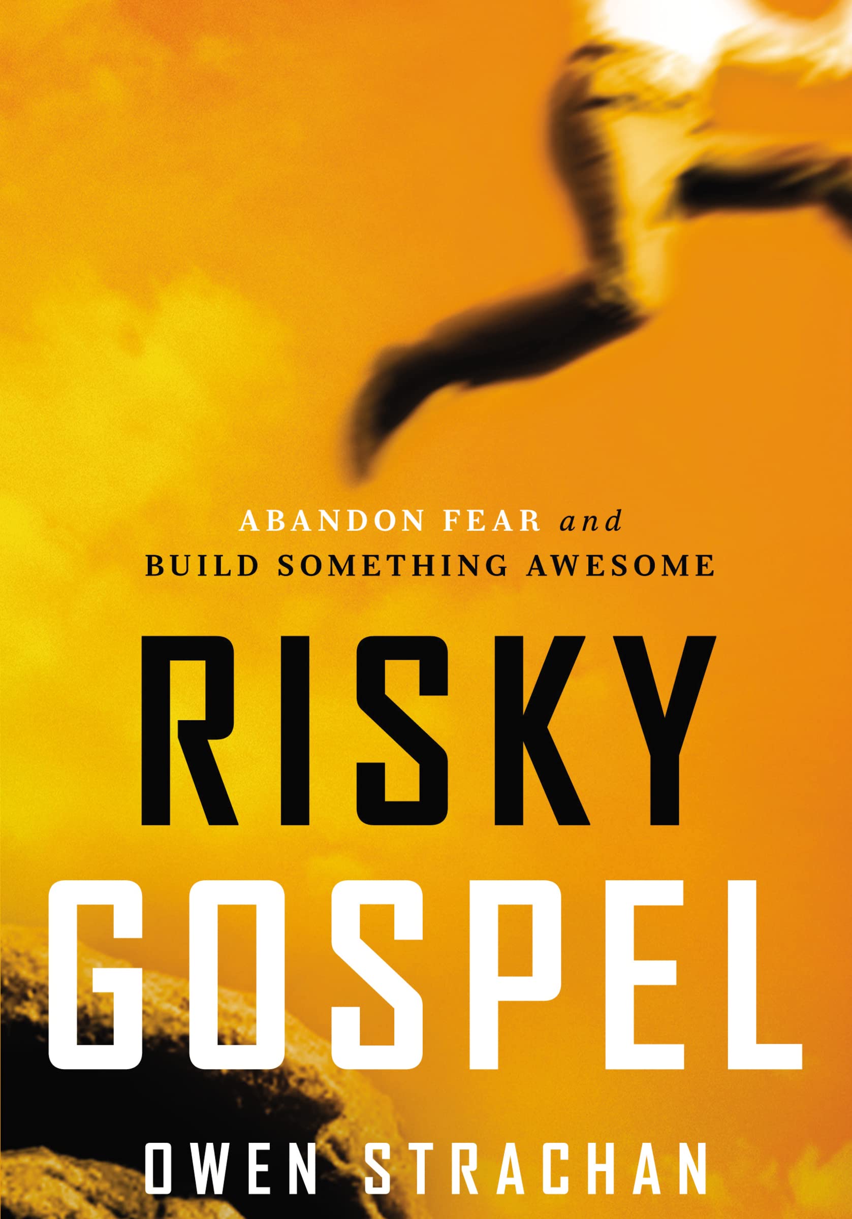 Risky Gospel: Abandon Fear and Build Something Awesome,Used