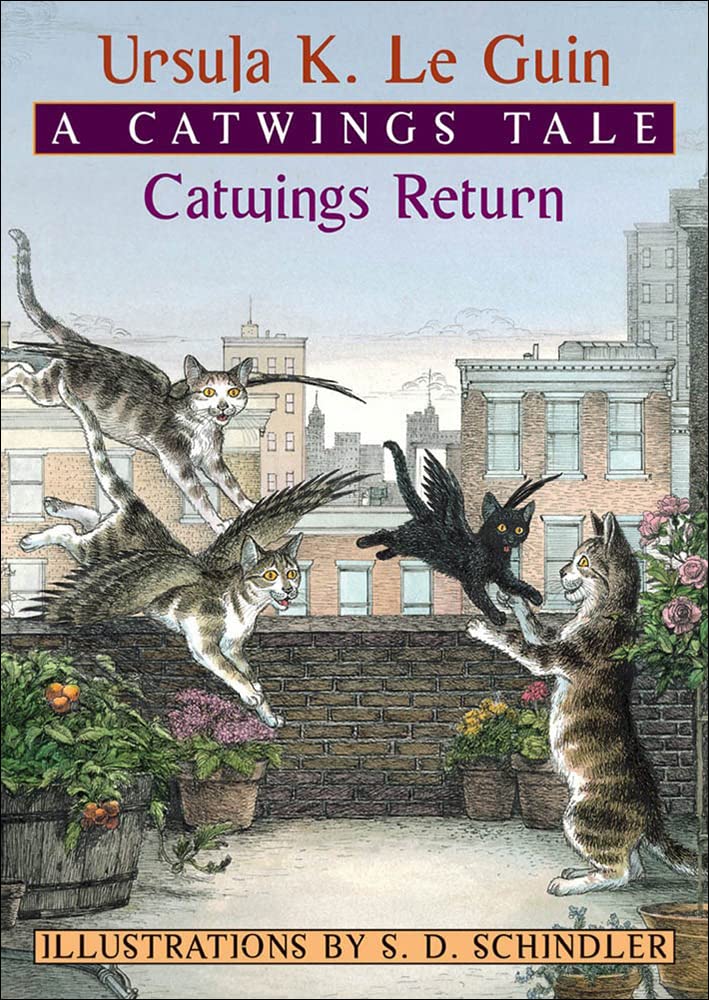 Catwings Return,Used