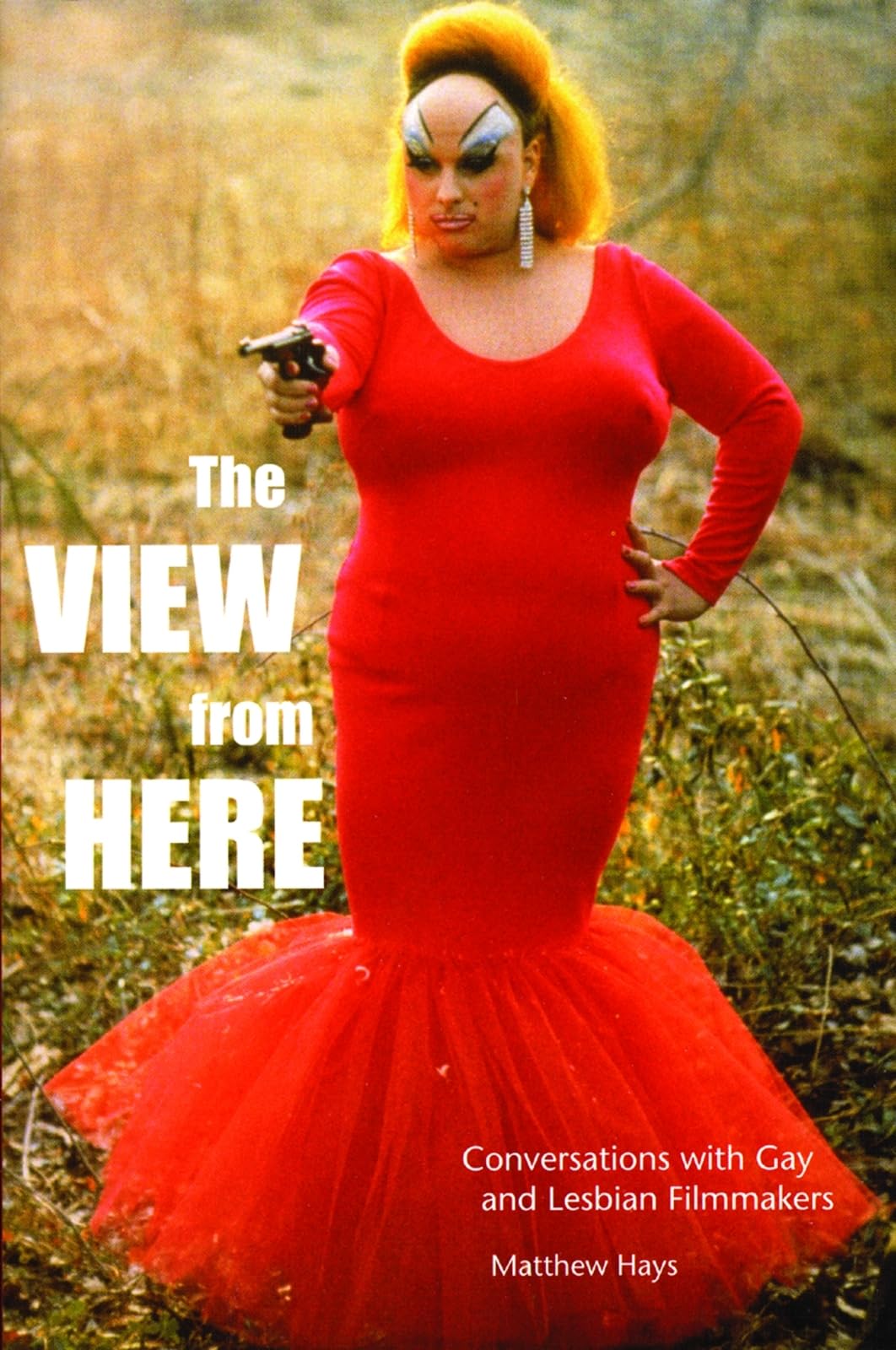 The View From Here: Conversations with Gay and Lesbian Filmmakers,Used