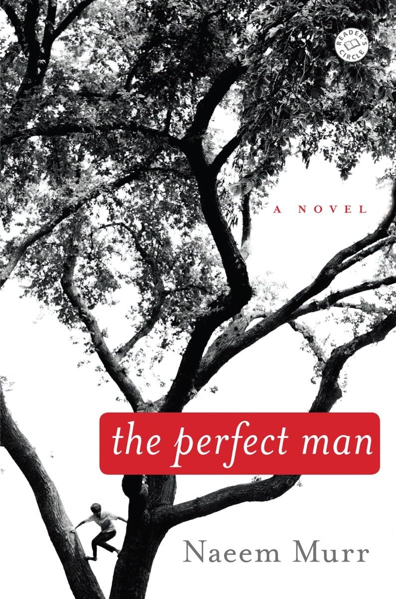 The Perfect Man: A Novel,New
