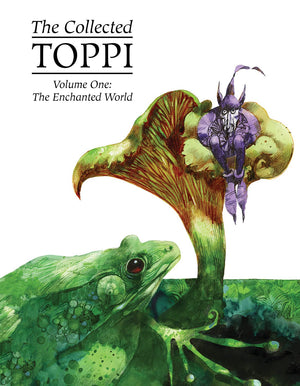 The Collected Toppi Vol. 1: The Enchanted World (Collected Toppi Hc),Used