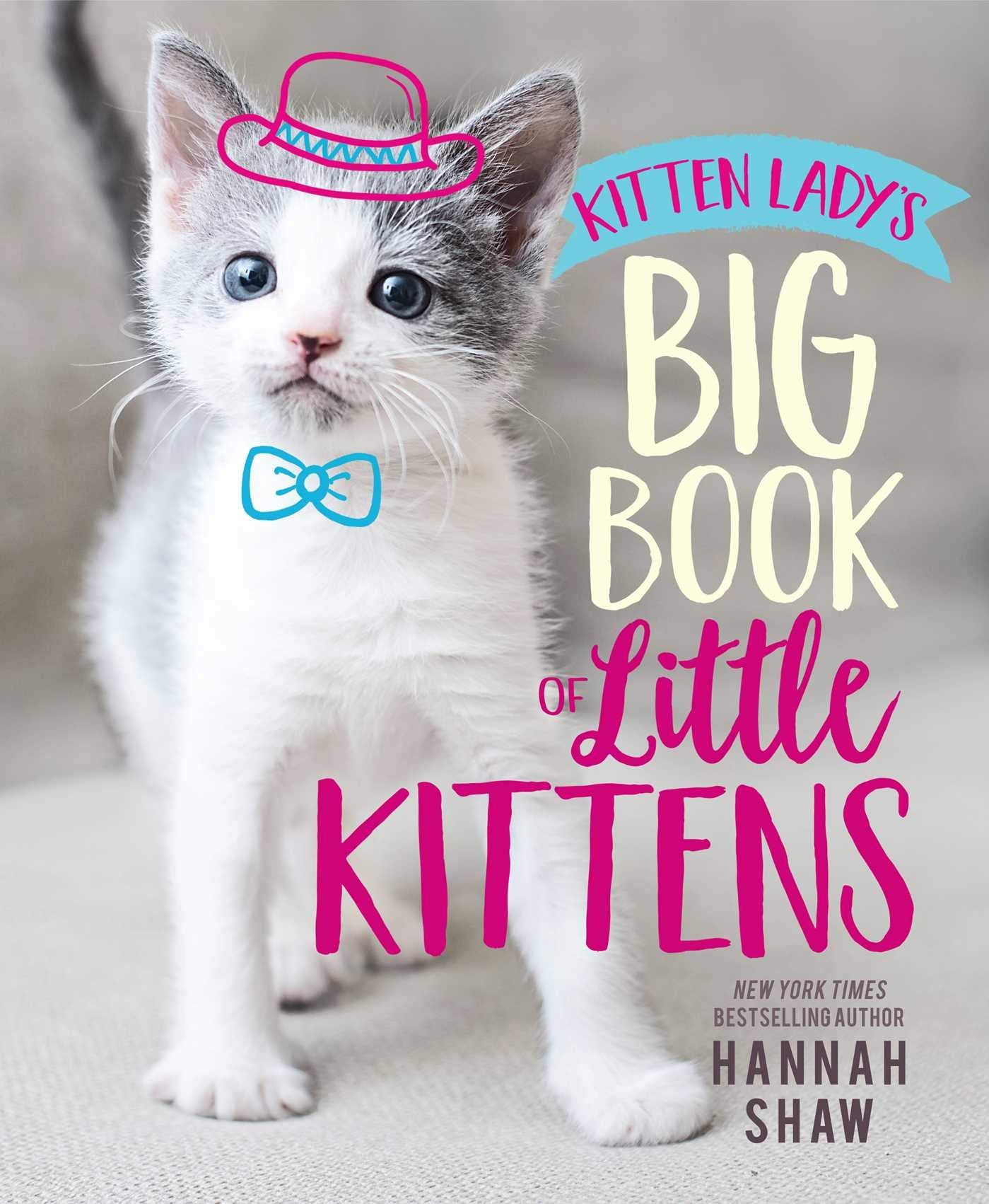 Kitten Lady's Big Book of Little Kittens,New