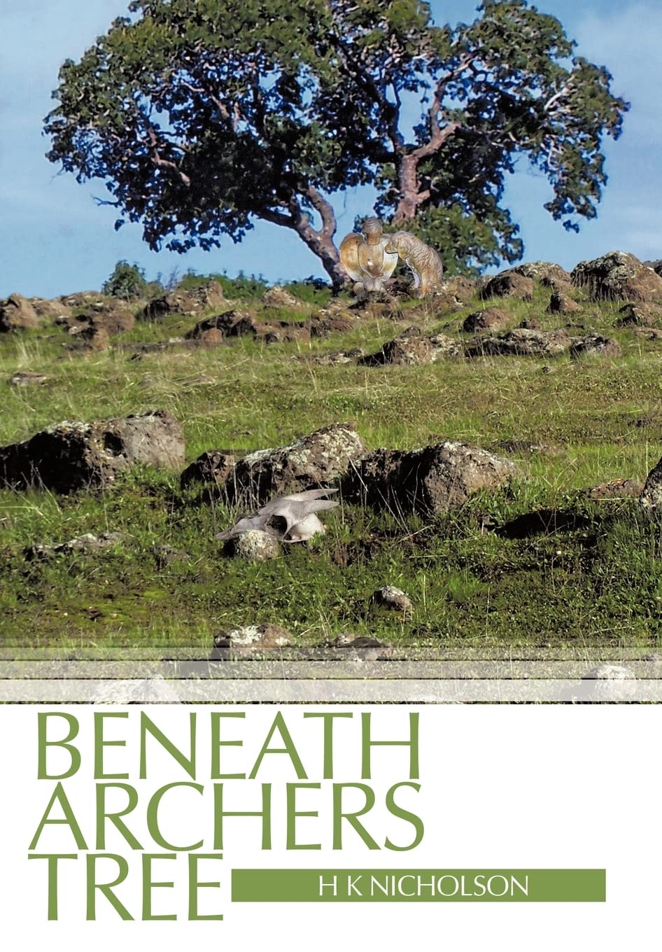 Beneath Archers Tree,Used