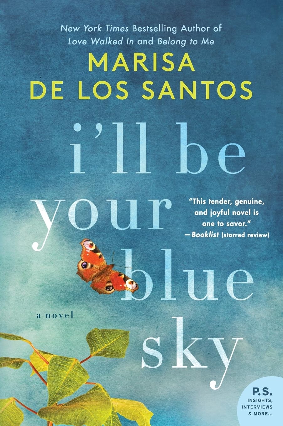 I'll Be Your Blue Sky: A Novel,Used