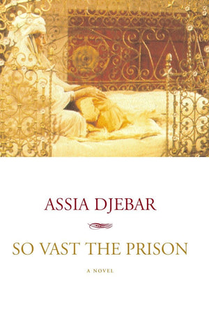 So Vast The Prison: A Novel