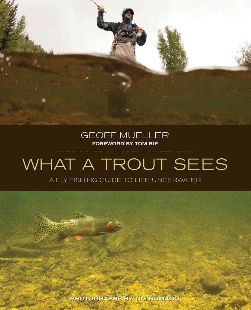 What a Trout Sees: A FlyFishing Guide To Life Underwater,Used