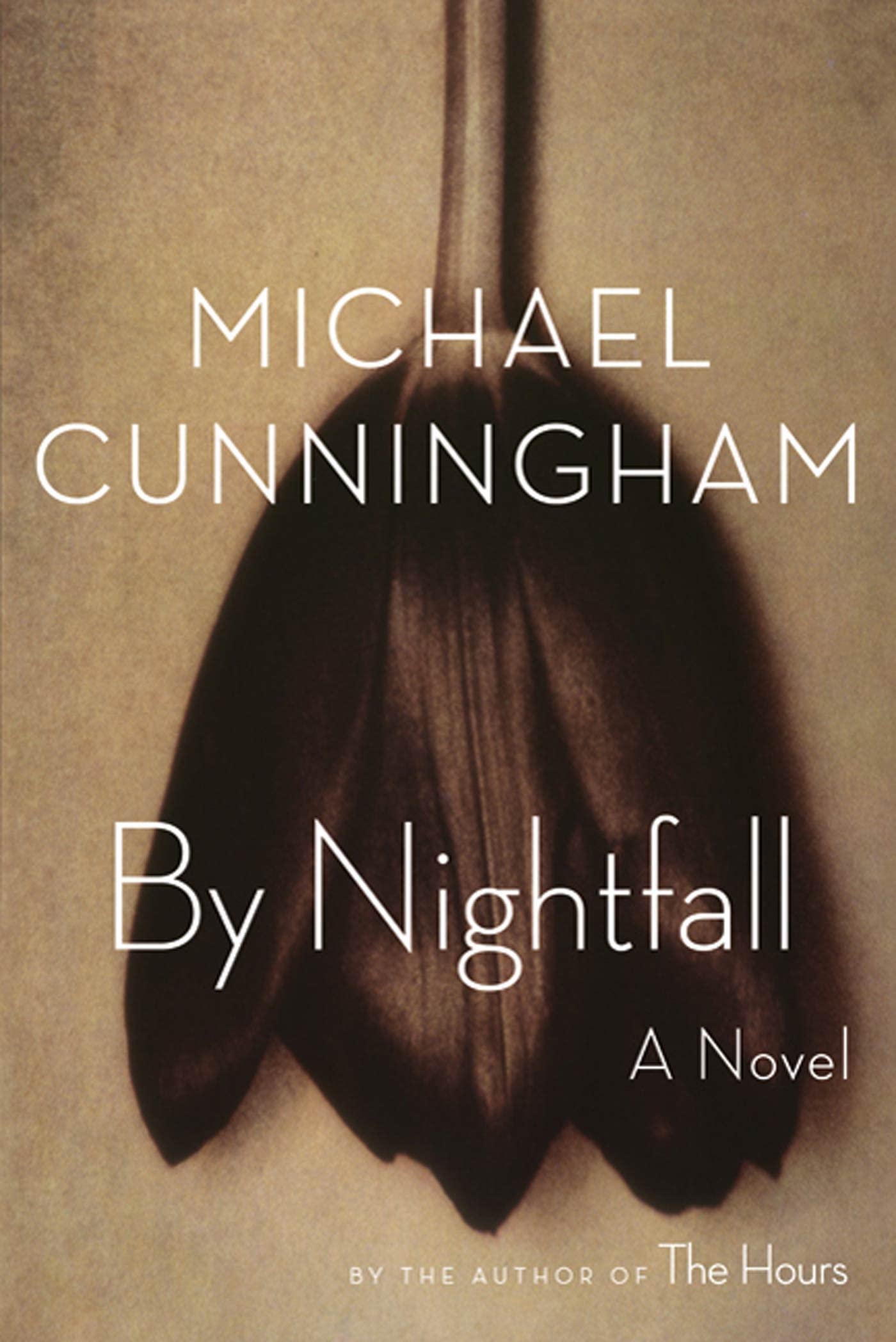 By Nightfall: A Novel-used