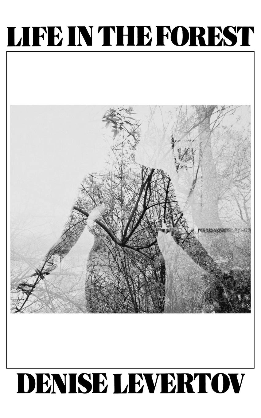 Life In The Forest,New