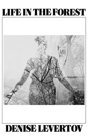 Life In The Forest,Used