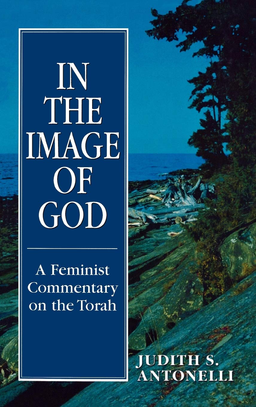 In the Image of God: A Feminist Commentary on the Torah,Used