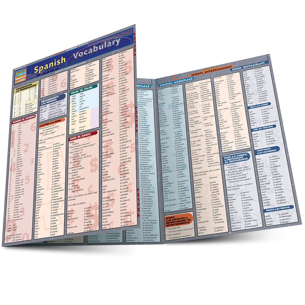 Spanish Vocabulary Quickstudy Laminated Reference Guide