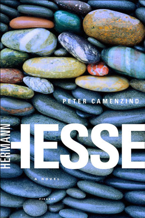 Peter Camenzind: A Novel,Used