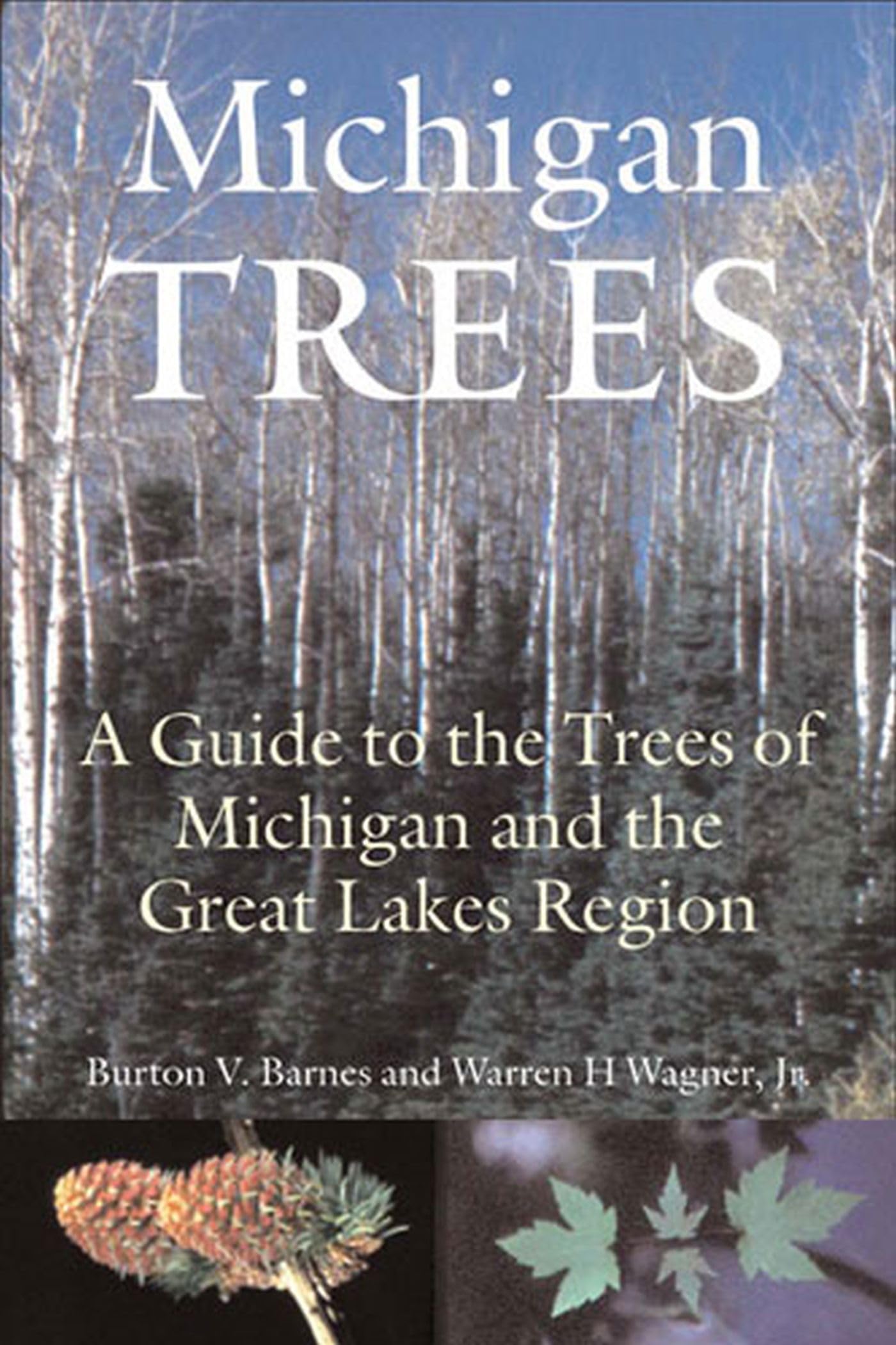 Michigan Trees, Revised and Updated: A Guide to the Trees of the Great Lakes Region,Used