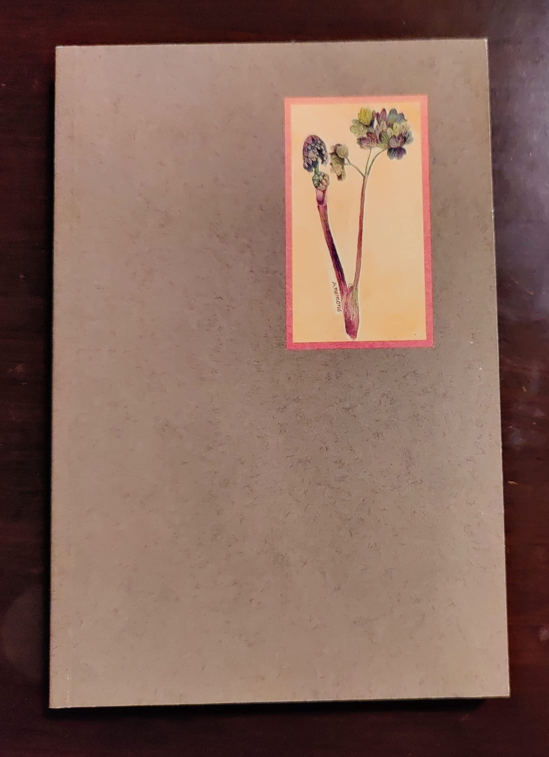 A LIFE IN HAND: Creating the Illuminated Journal,New