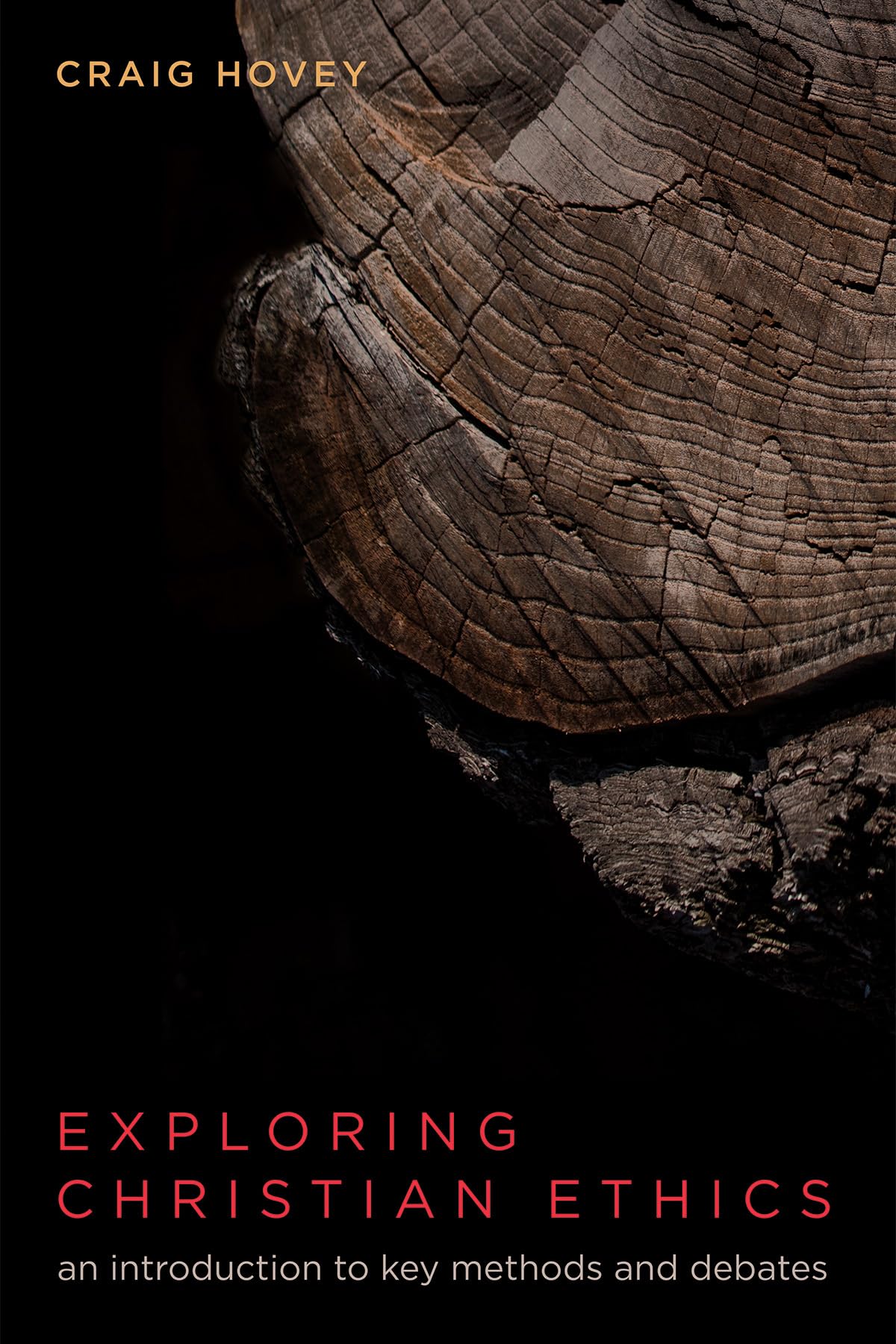Exploring Christian Ethics: An Introduction to Key Methods and Debates,Used